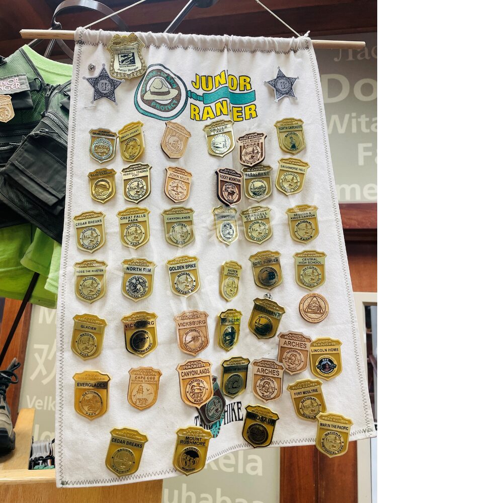 Junior Ranger Programのバッジの画像